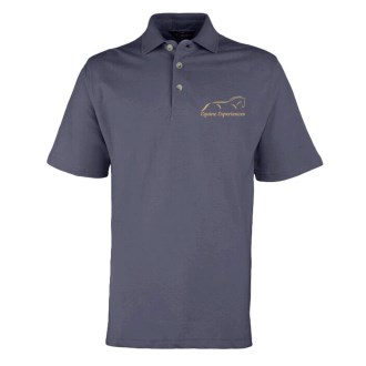 Equine Experiences Polo