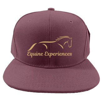 Equine Experiences Embroidered B Cap