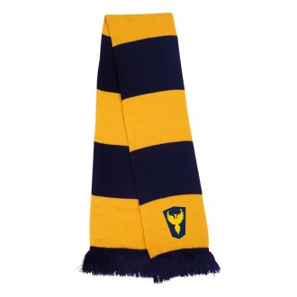 Team Scarf