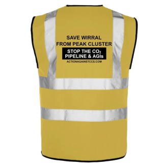 AACCS HiViz