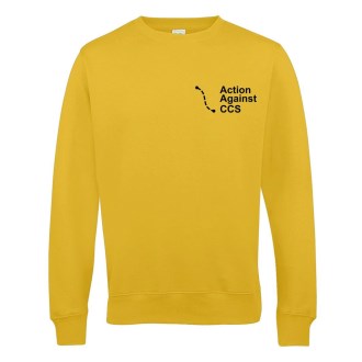 AACCS Sweatshirt