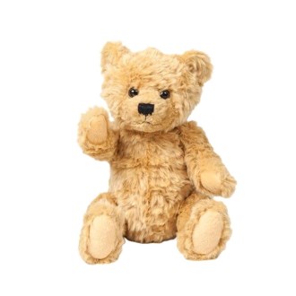 CMT Kids Bracken Bear only
