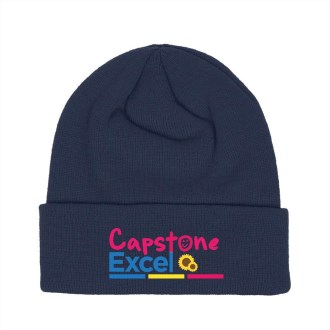 Capstone Beanie - Multi color