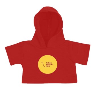 AA CCS Teddy Hoodie