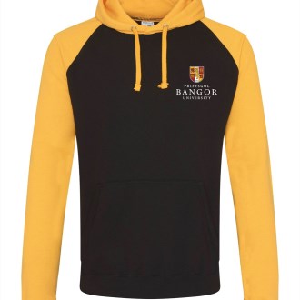 NWMS Baseball Hoodie