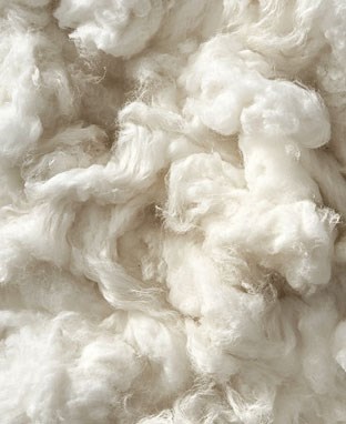 100 Percent Cotton