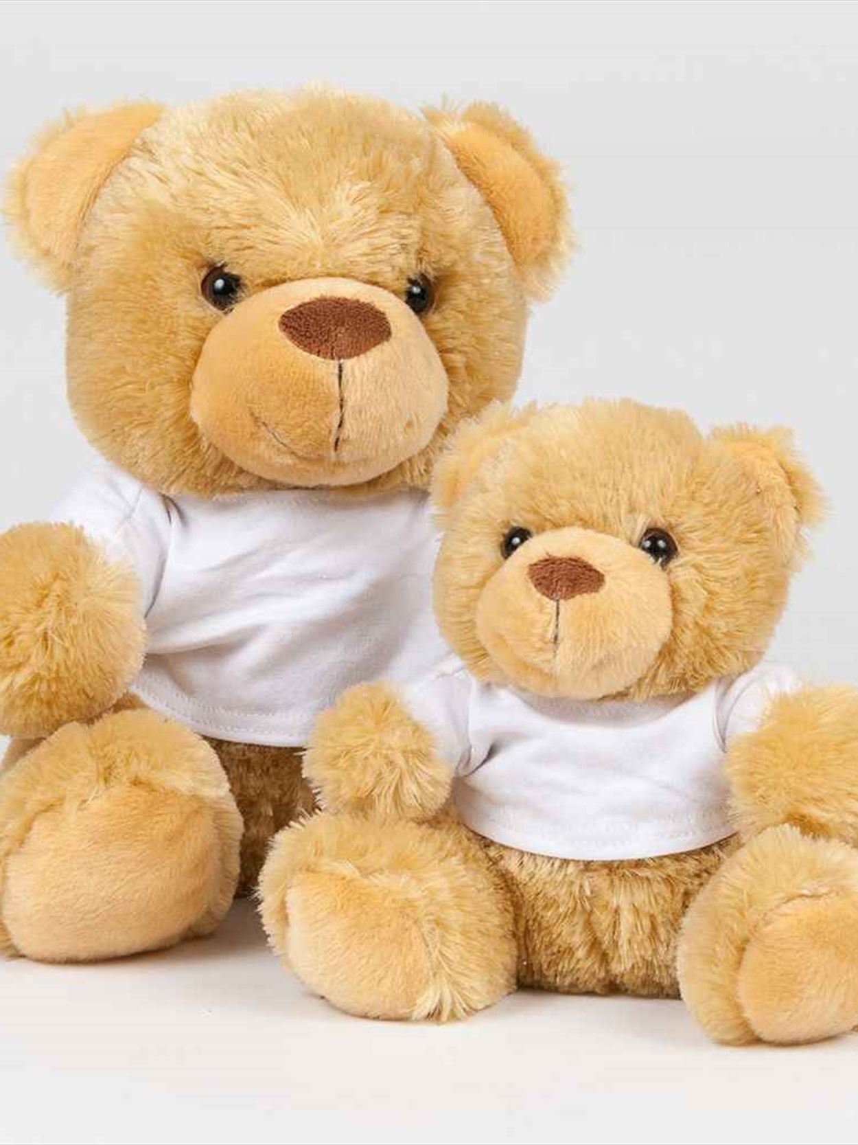 MM30 Bear In A T-Shirt Image 1