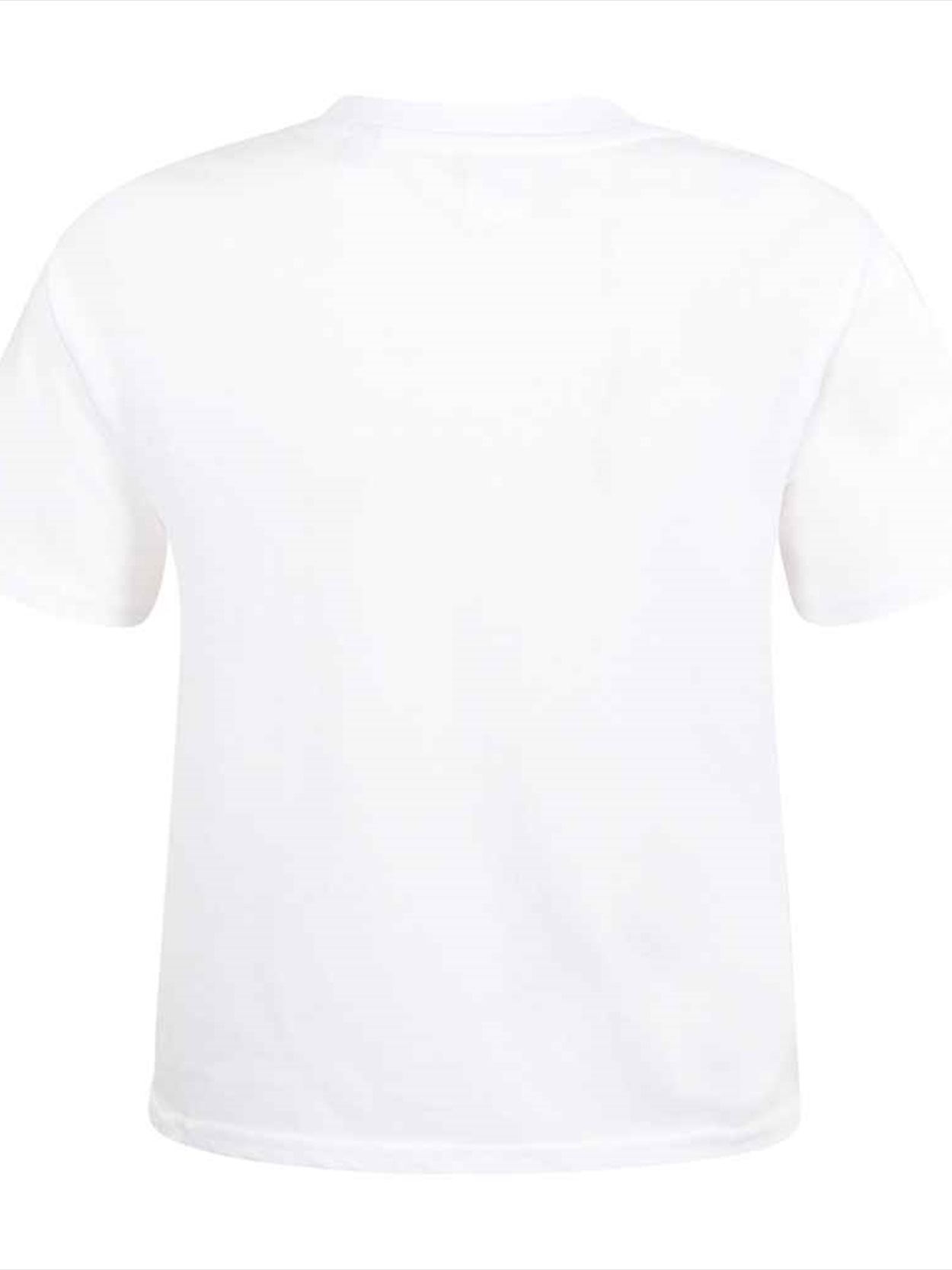 SK237 Ladies Cropped Boxy T-Shirt Image 2