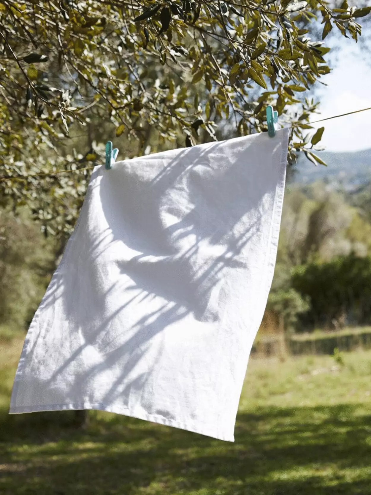 W701 Westford Mill Tea Towel
