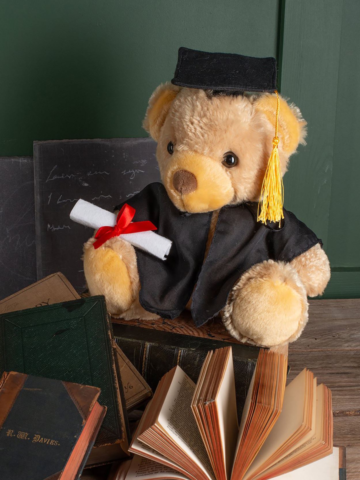 MM36 Graduation Bear Image 1