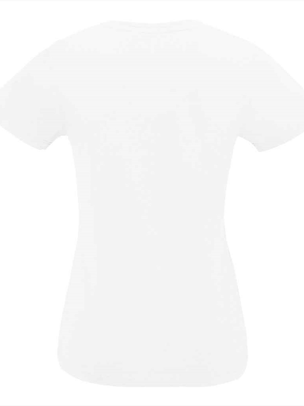 02941 Imperial V Lds SOL'S Ladies Imperial V Neck T-Shirt Image 2