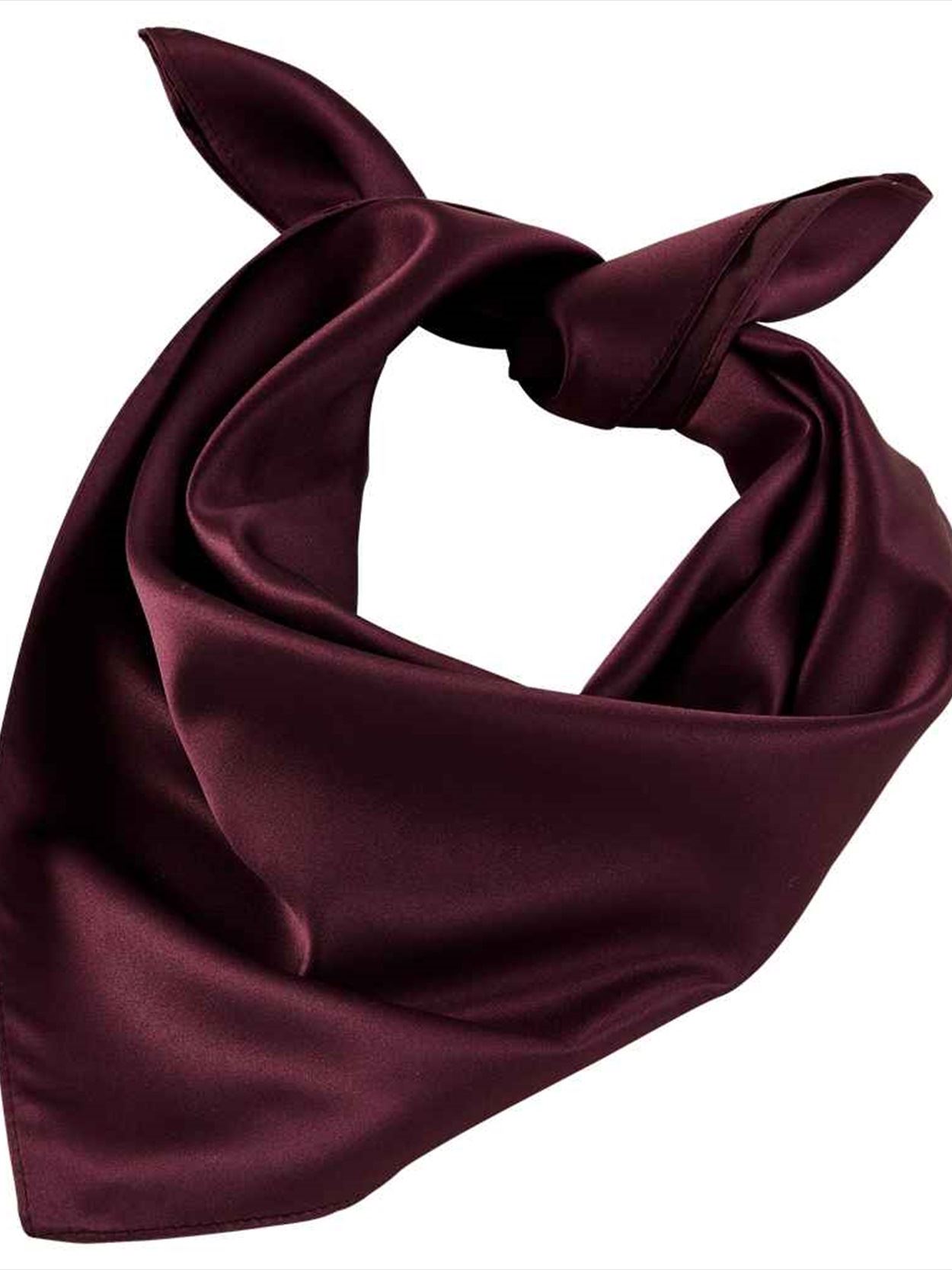 03205 Tara NEOBLU Tara Satin Scarf Image 1