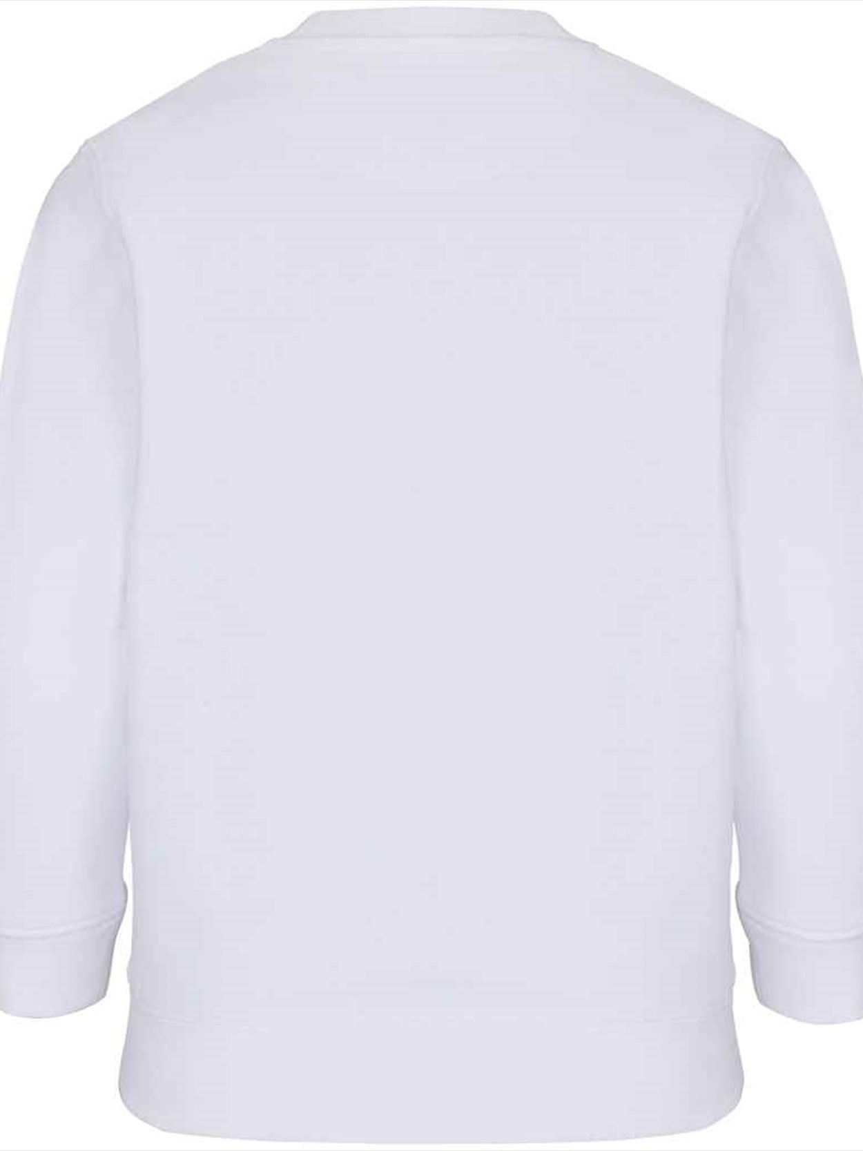 04239 Columbia kids SOL'S Kids Columbia Sweatshirt Image 2
