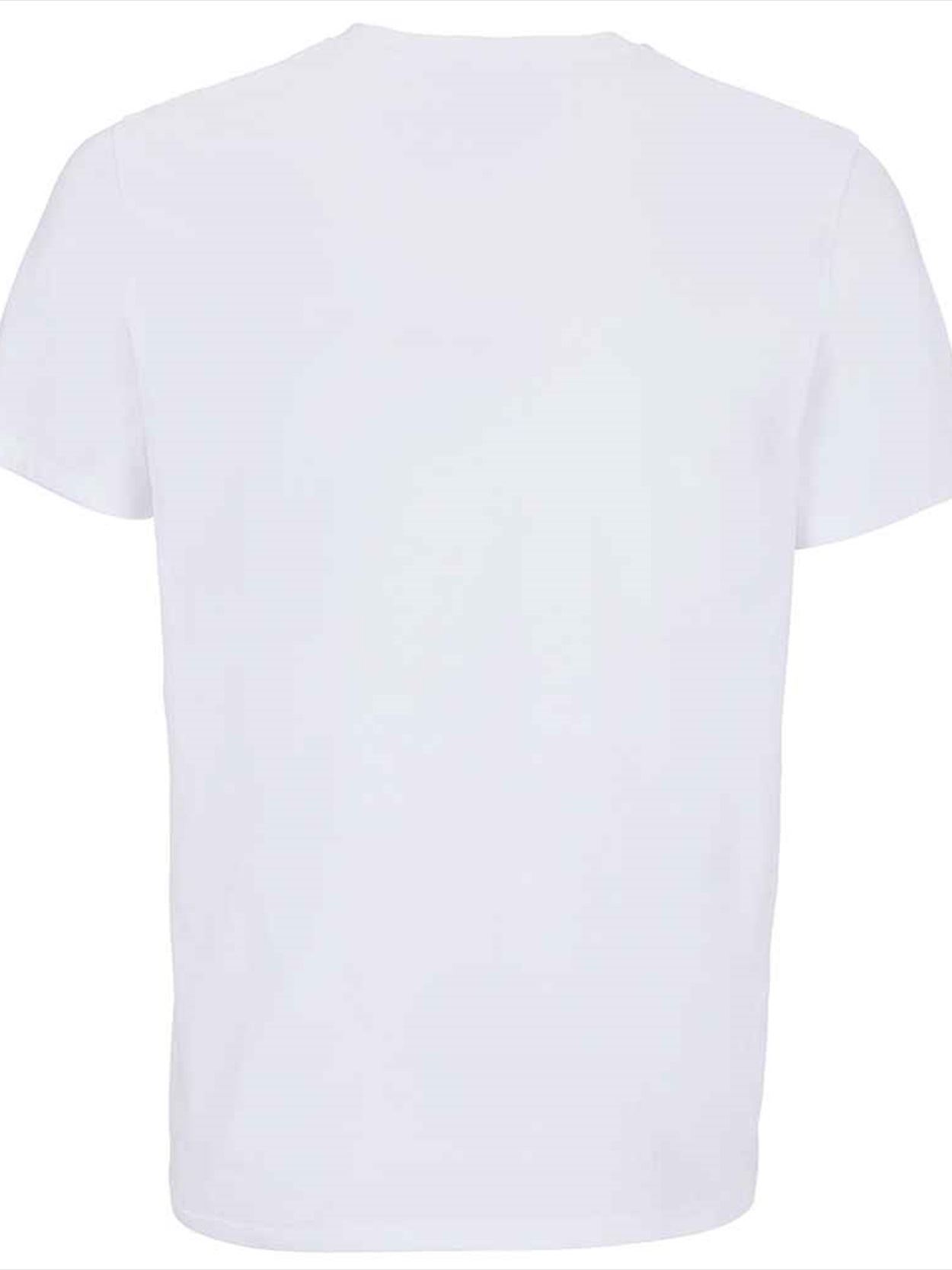 04859 Lyam SOL'S Unisex Lyam Premium T-Shirt Image 3