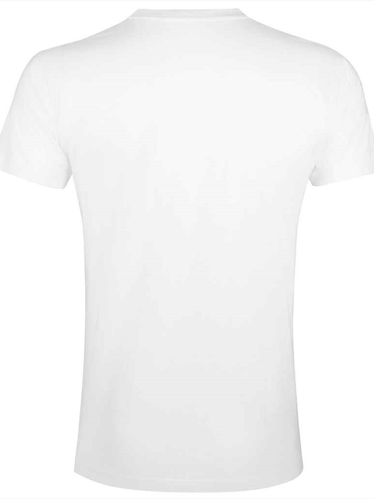 10580 Imperial Fit SOL'S Imperial Fit T-Shirt Image 2