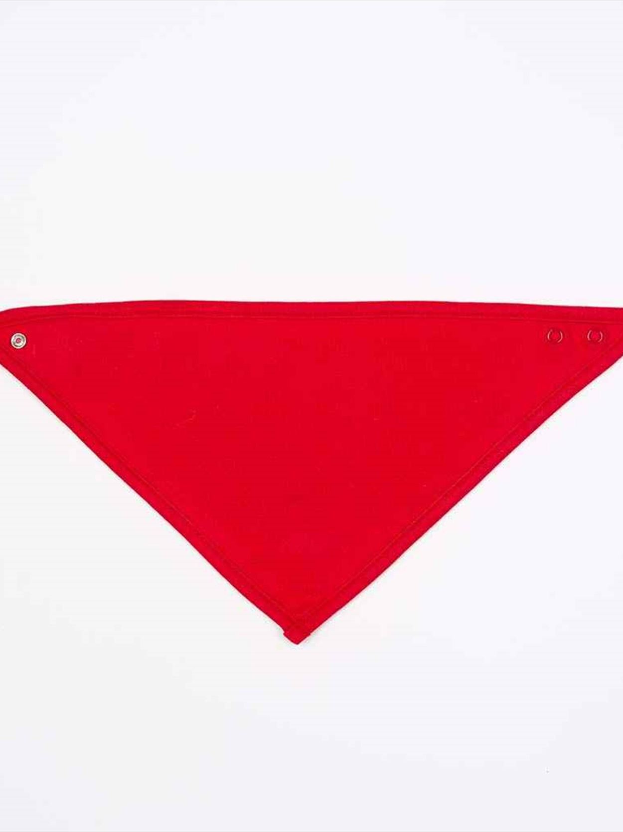 BZ23 BabyBugz Bandana Bib Image 1
