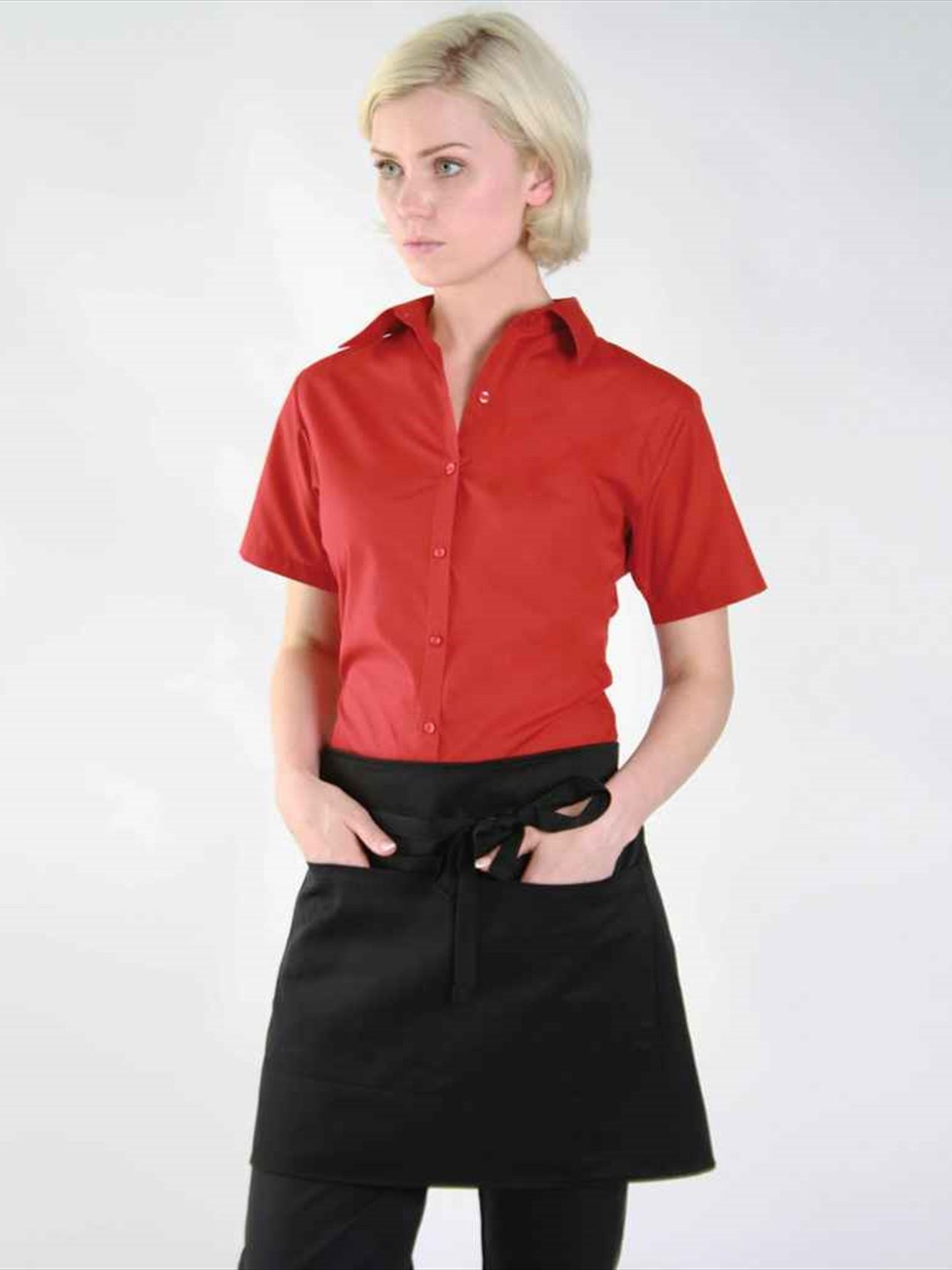 DE123 DP37C Dennys Bar Apron with Pocket Image 1