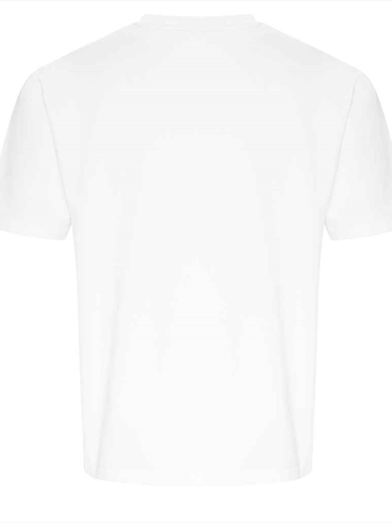 EA006 Ecologie Arrow Recycled Heavy Oversize T-Shirt Image 2