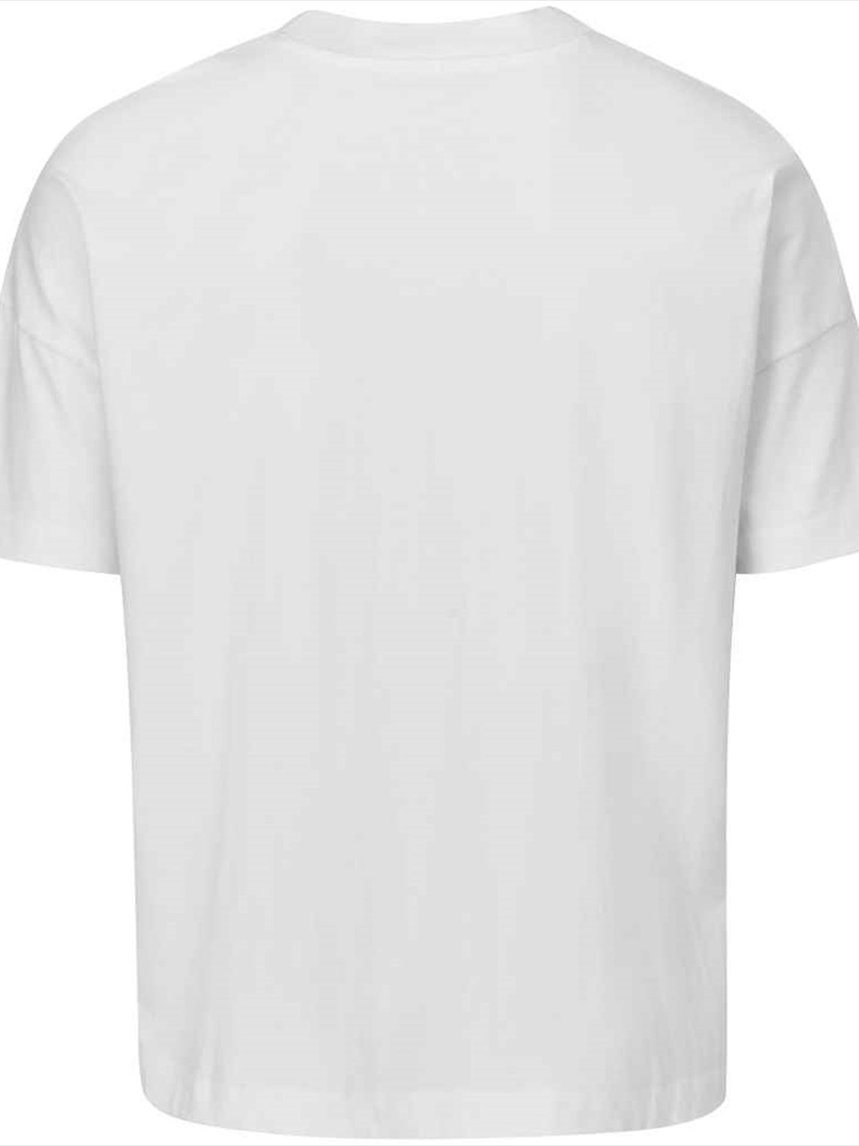 M201 Mantis Unisex Oversized Heavy T-Shirt Image 2