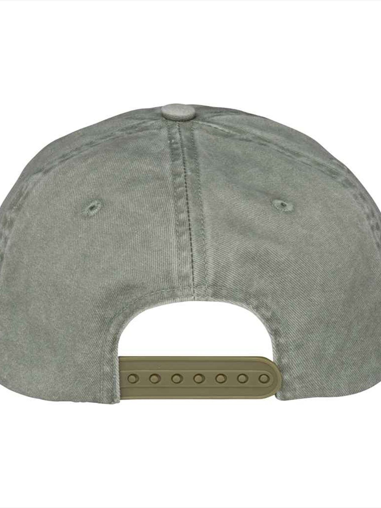 NS026 Native Spirit Washed Destroy Cap Image 2