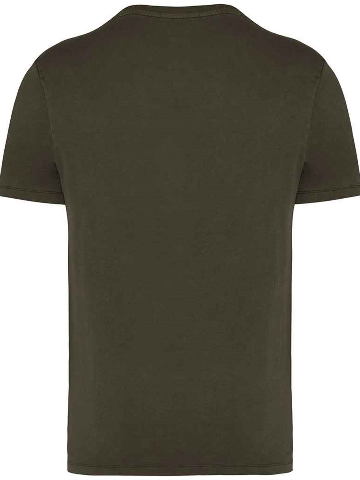 NS315 Native Spirit Unisex Faded T-Shirt Image 2