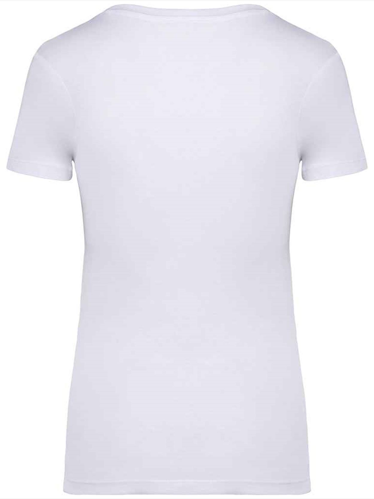 NS324 Native Spirit Ladies T-Shirt Image 2