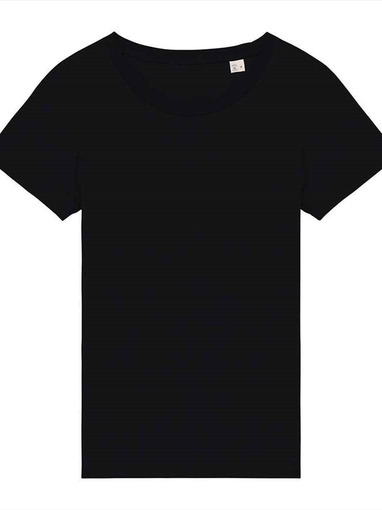 NS324 Native Spirit Ladies T-Shirt Image 1