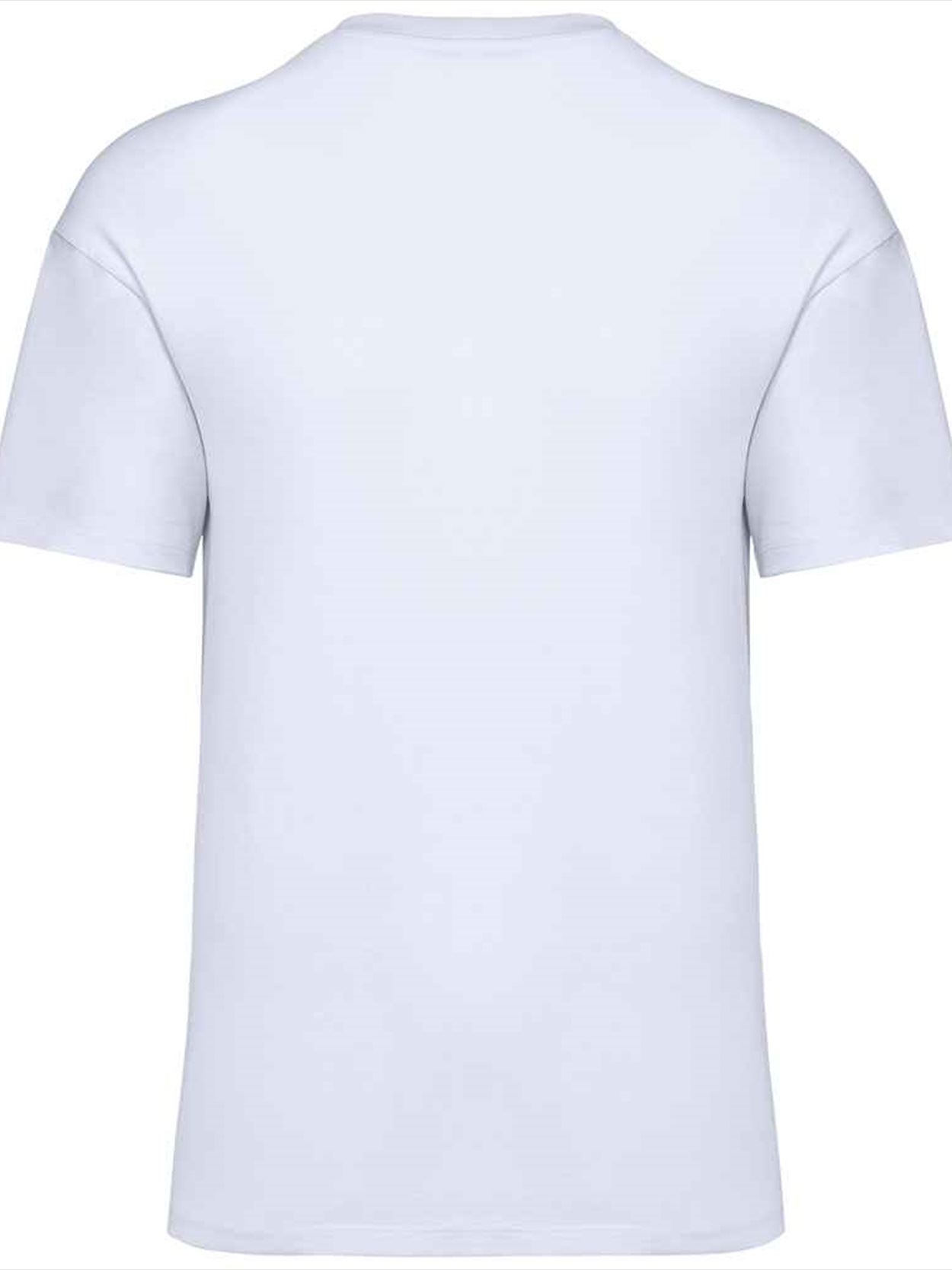 NS330 Native Spirit Unisex Oversized T-Shirt Image 2
