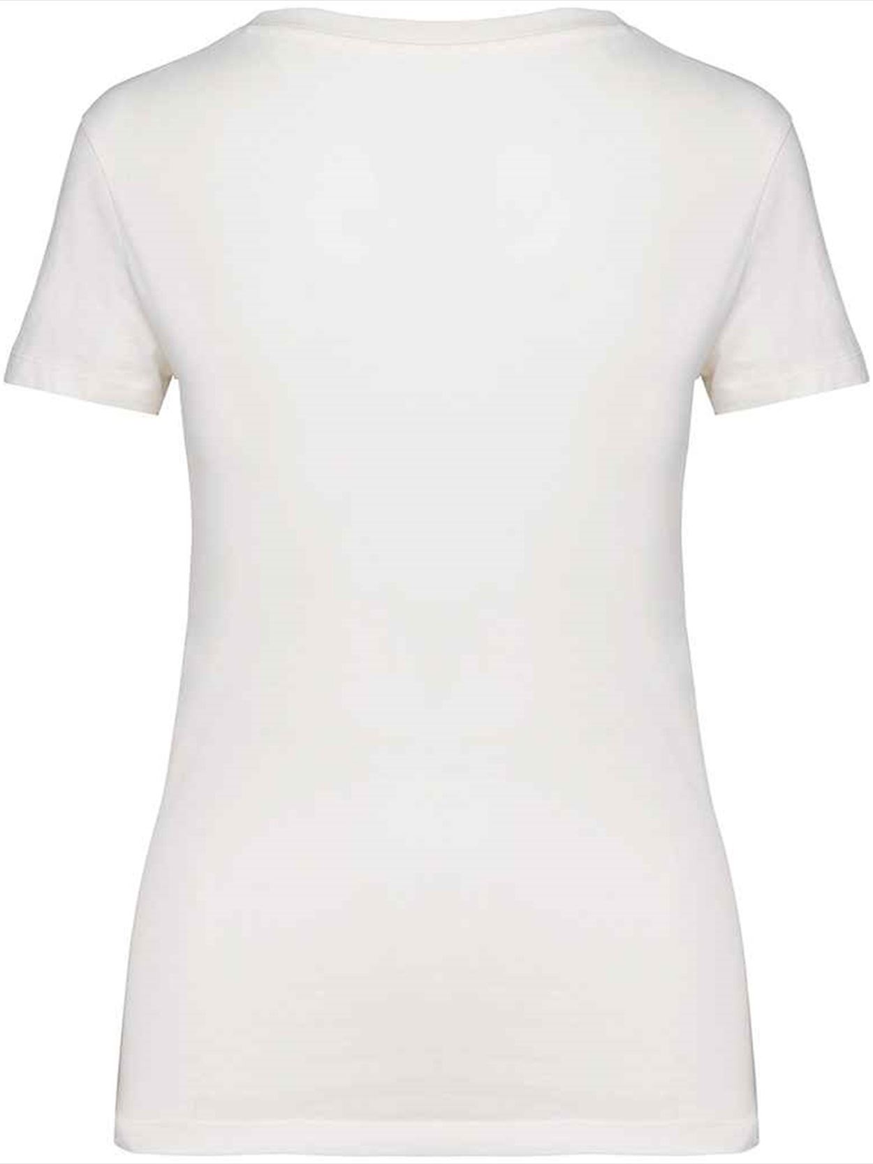 NS334 Native Spirit Ladies V Neck T-Shirt Image 2