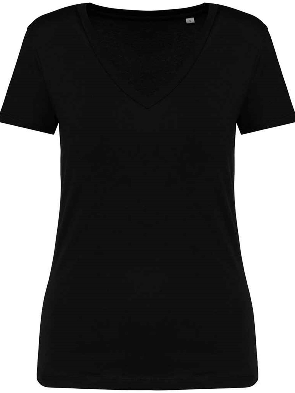 NS334 Native Spirit Ladies V Neck T-Shirt Image 1