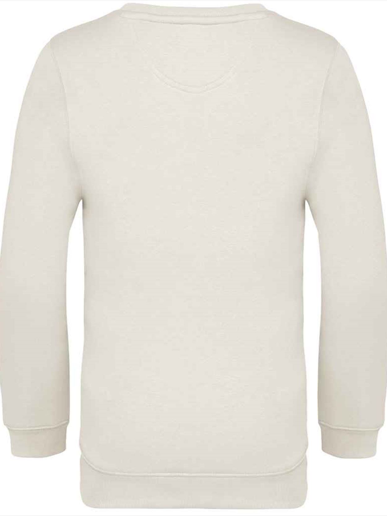 NS403 Native Spirit Kids Crew Neck Sweatshirt Image 2