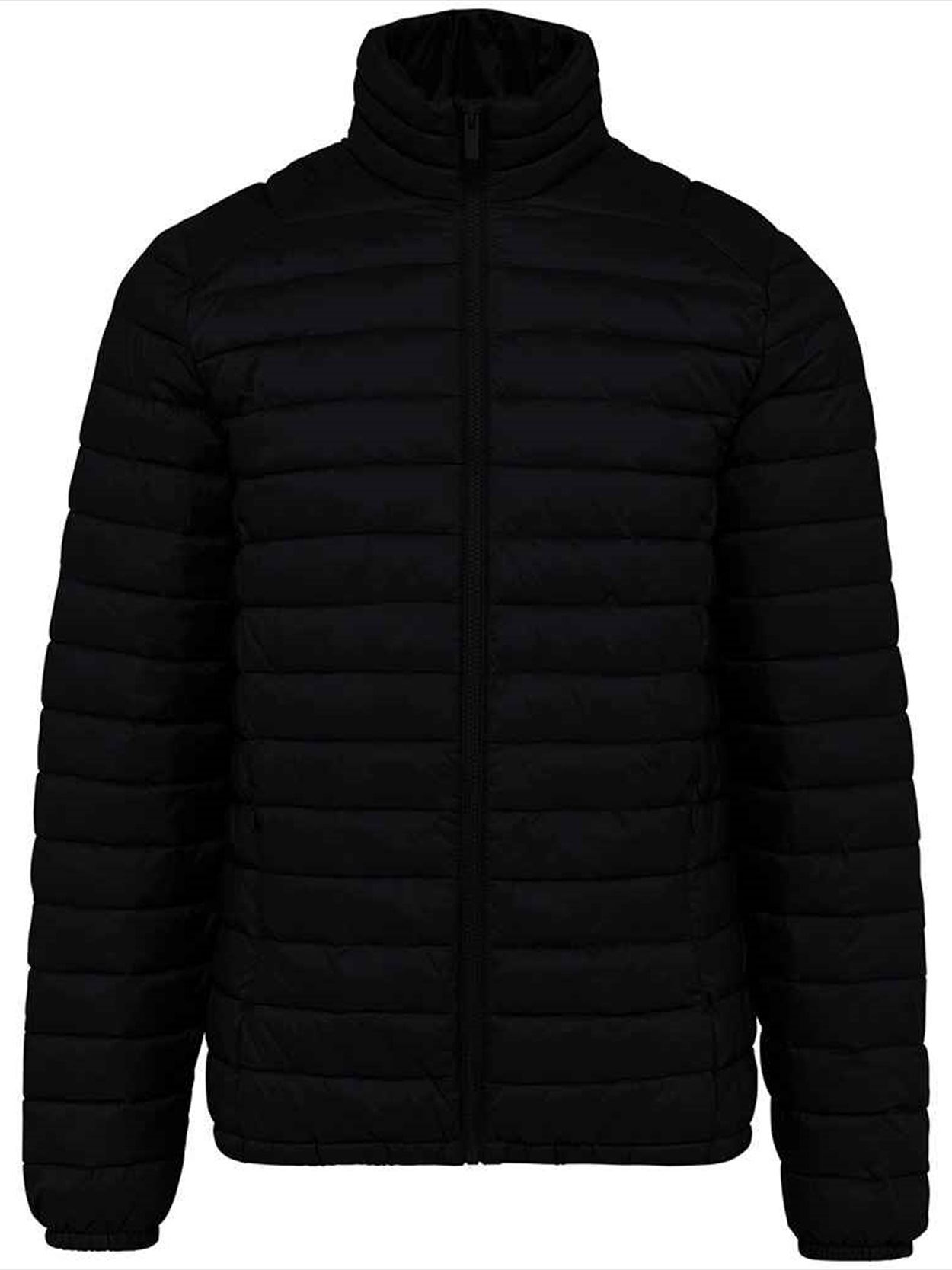 NS6000 Native Spirit Lightweight Recycled Padded Jacket Image 1