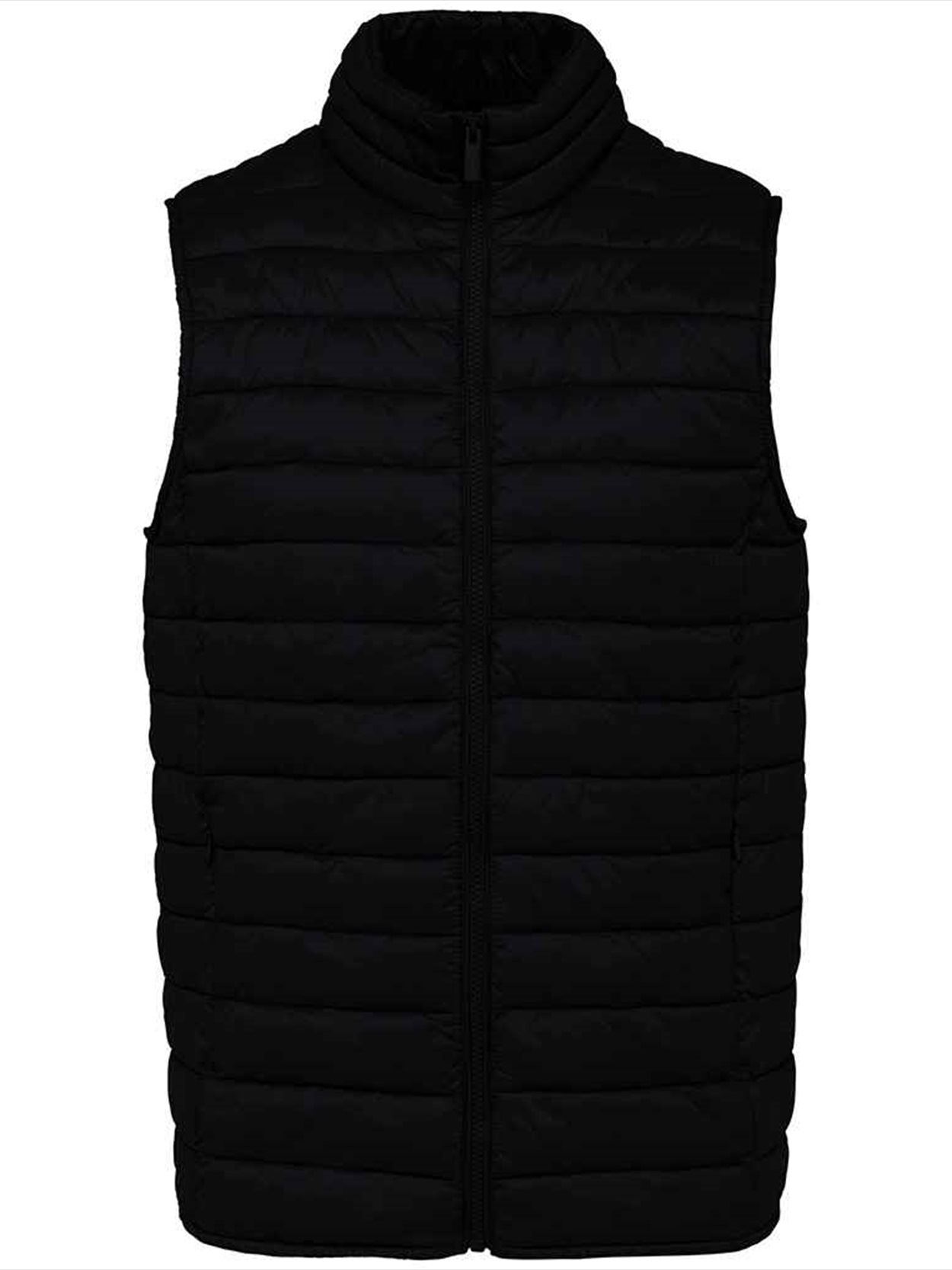 NS6005 Native Spirit Light Recycled Bodywarmer Image 1