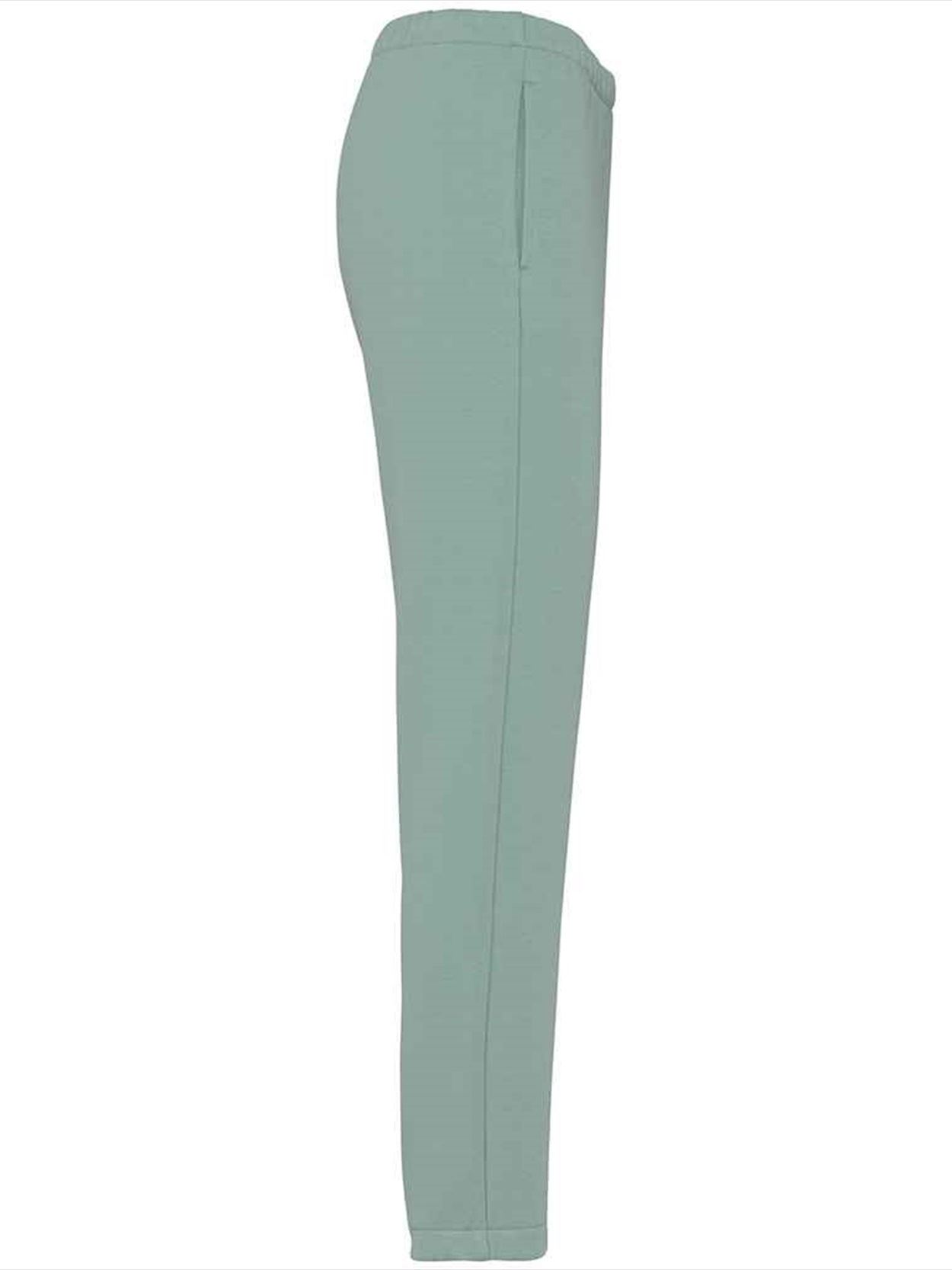 NS722 Native Spirit Ladies Jog Pants Image 3