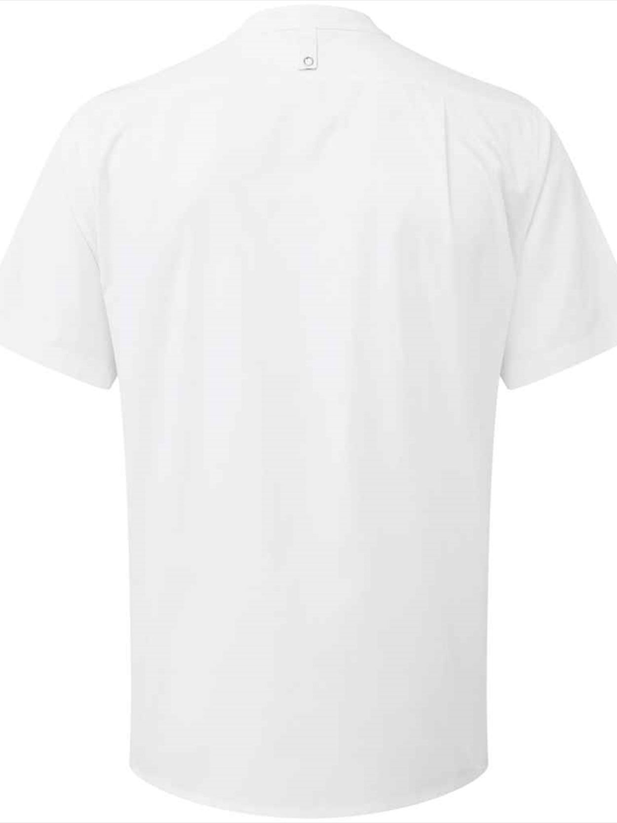 PR904 Premier Recyclight® Short Sleeve Chef's Shirt Image 2
