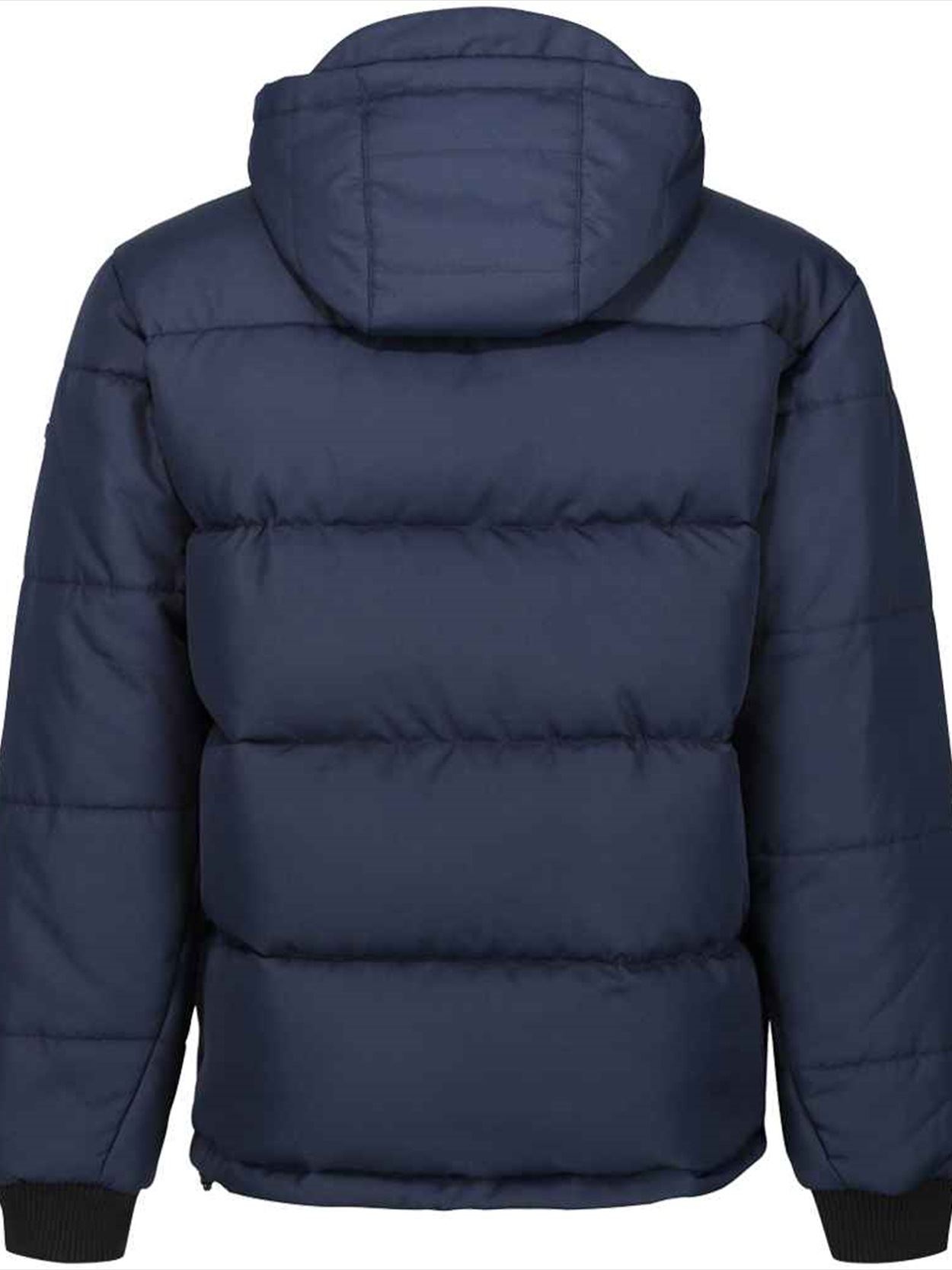 RG448 TRA245 Regatta Northdale Insulated Jacket Image 2