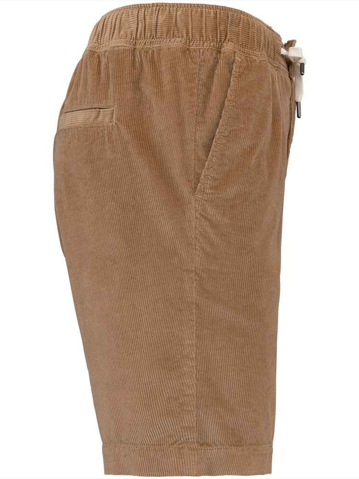 SP742 Spasso Corduroy Shorts Image 3