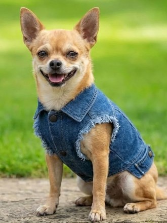 RAL-PP003 Dog’s denim jacket