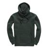 W72 Hoodie Forest colour image