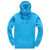W72 Hoodie Turquoise colour image