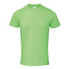 GD01 64000 T Shirt Lime colour image