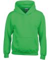 GD57B 18500B Heavy Blend™ Youth Hooded Sweatshirt Irish Green colour image