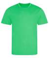 JC001 Sports T-Shirt Sour Green colour image