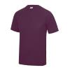 JC001 Sports T-Shirt Plum colour image