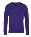PR694 V Neck Knitted Sweater Purple colour image