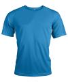 PA438 Sport t T-Shirt Aqua colour image