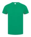 SF121 Fashion T Shirt Green colour image