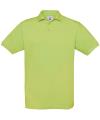 BA301 PU409 Safran Pistachio colour image
