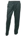 RG232 New action trouser Lichen Green colour image