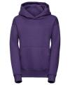 575B Hooded Sweatshirt Purple colour image